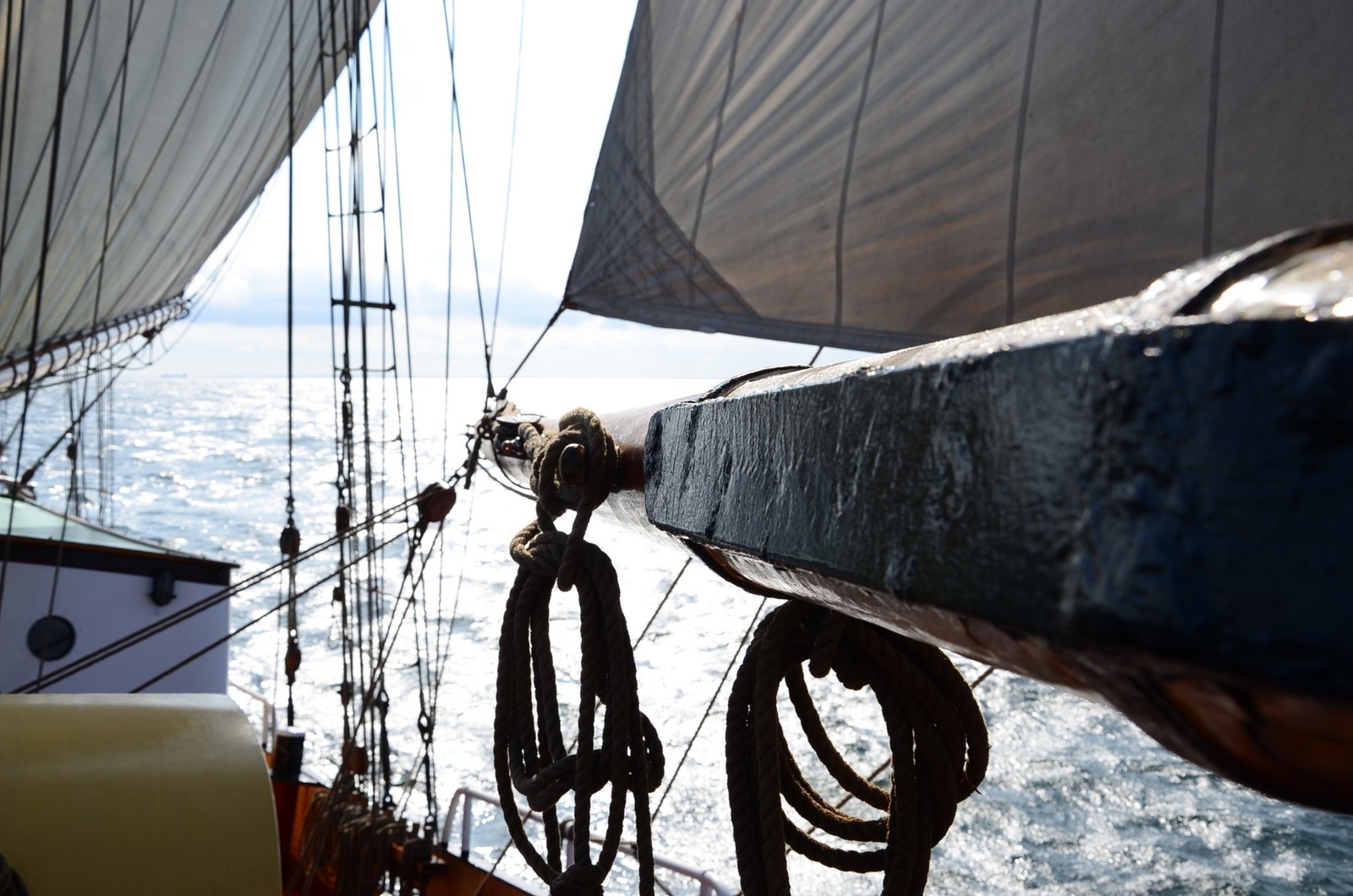 Entwicklungstörn - Organisationsentwicklung unter Segeln