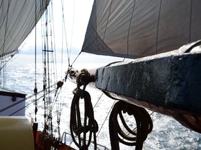 Entwicklungstörn - Organisationsentwicklung unter Segeln